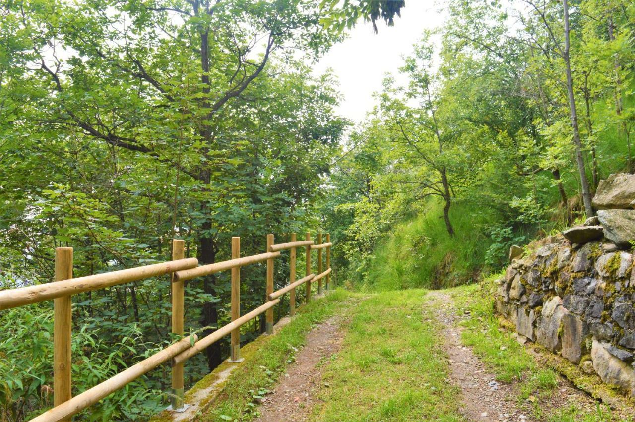 Gold Cave Casa Vacanze Relax Nel Bosco Appartamenti Pessinetto Zewnętrze zdjęcie