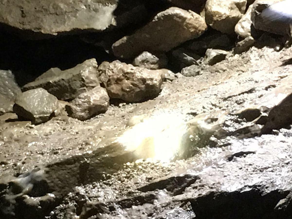 Gold Cave Casa Vacanze Relax Nel Bosco Appartamenti Pessinetto Zewnętrze zdjęcie