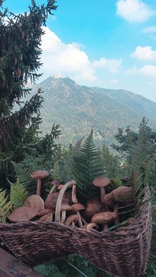 Gold Cave Casa Vacanze Relax Nel Bosco Appartamenti Pessinetto Zewnętrze zdjęcie